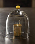 Glass Cloche with Gold Knob - Small