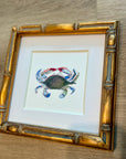 Coastal Watercolor – Blue Crab in Bamboo Frame, 6x6