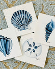Original Watercolor Shell Paintings - Matted, Ready to Frame: Conch Shell