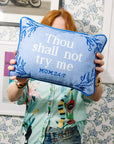 Try Me Needlepoint Pillow