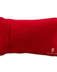 Control Freak Needlepoint Pillow