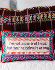 Control Freak Needlepoint Pillow