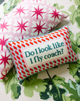 Fly Coach Needlepoint Pillow