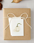 White pumpkin autumn mini enclosure notecard