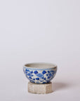 Blue and White Porcelain Auspicious Dragon Bowl