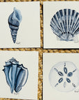 Original Watercolor Shell Paintings - Matted, Ready to Frame: Conch Shell