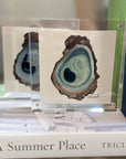 Original Watercolor Oyster Shell in Acrylic Block Frame, 5x5