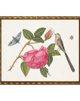 Birds, flowers and insects bookplate on a light background L: Beaded Gold Frame, 20" X 16"