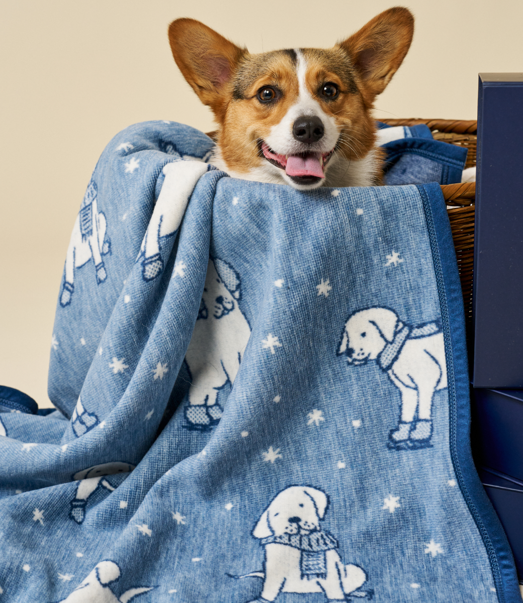 Winter Puppies Midi Blanket: Midi