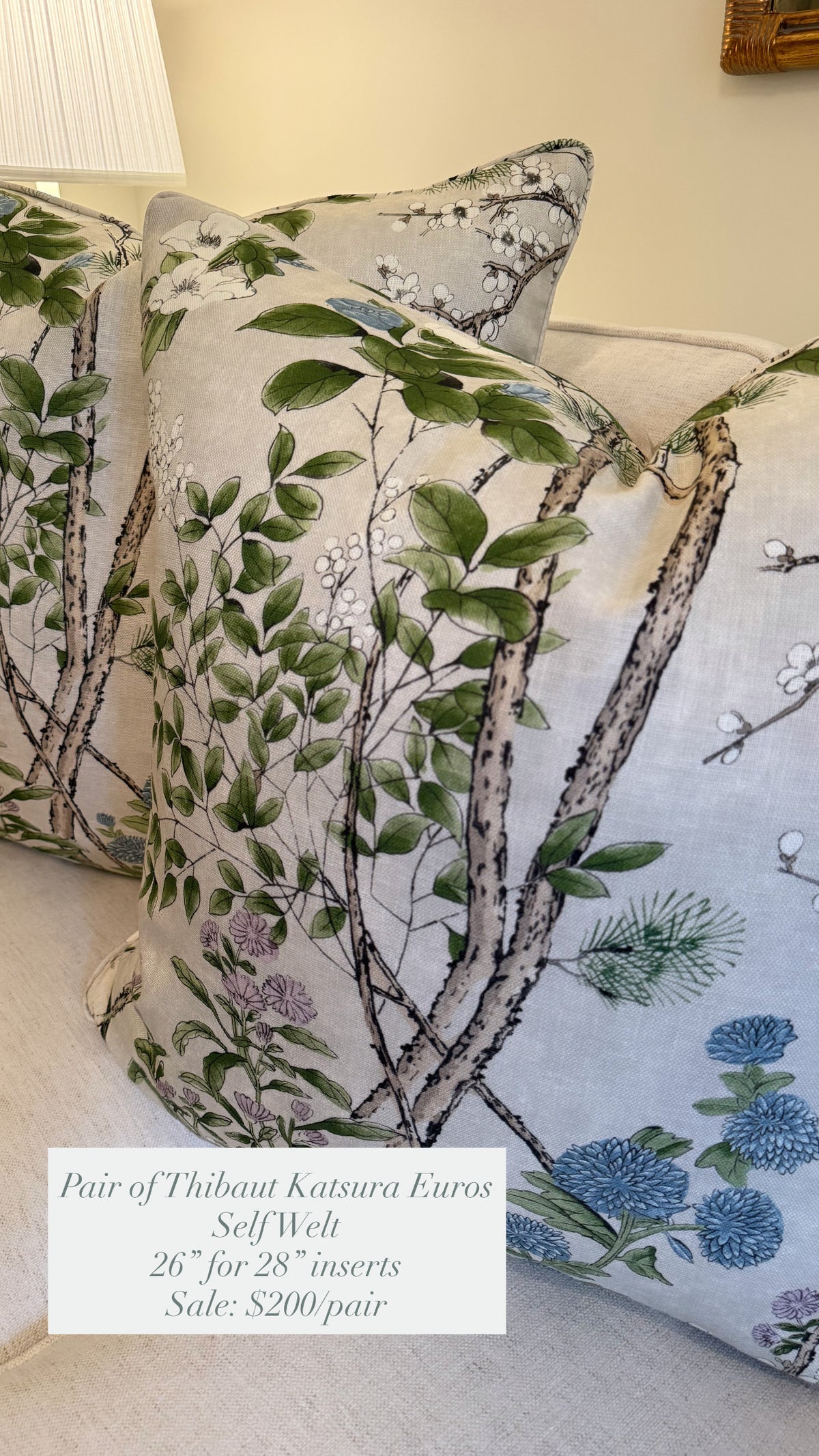 Pair of Thibaut Katsura Euros, 26” for 28” inserts