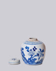 Blue and White Porcelain Pheasant Lidded Round Storage Jar