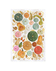 Autumn Gourds Kitchen Towel - Fall Pumpkin Tea Towel