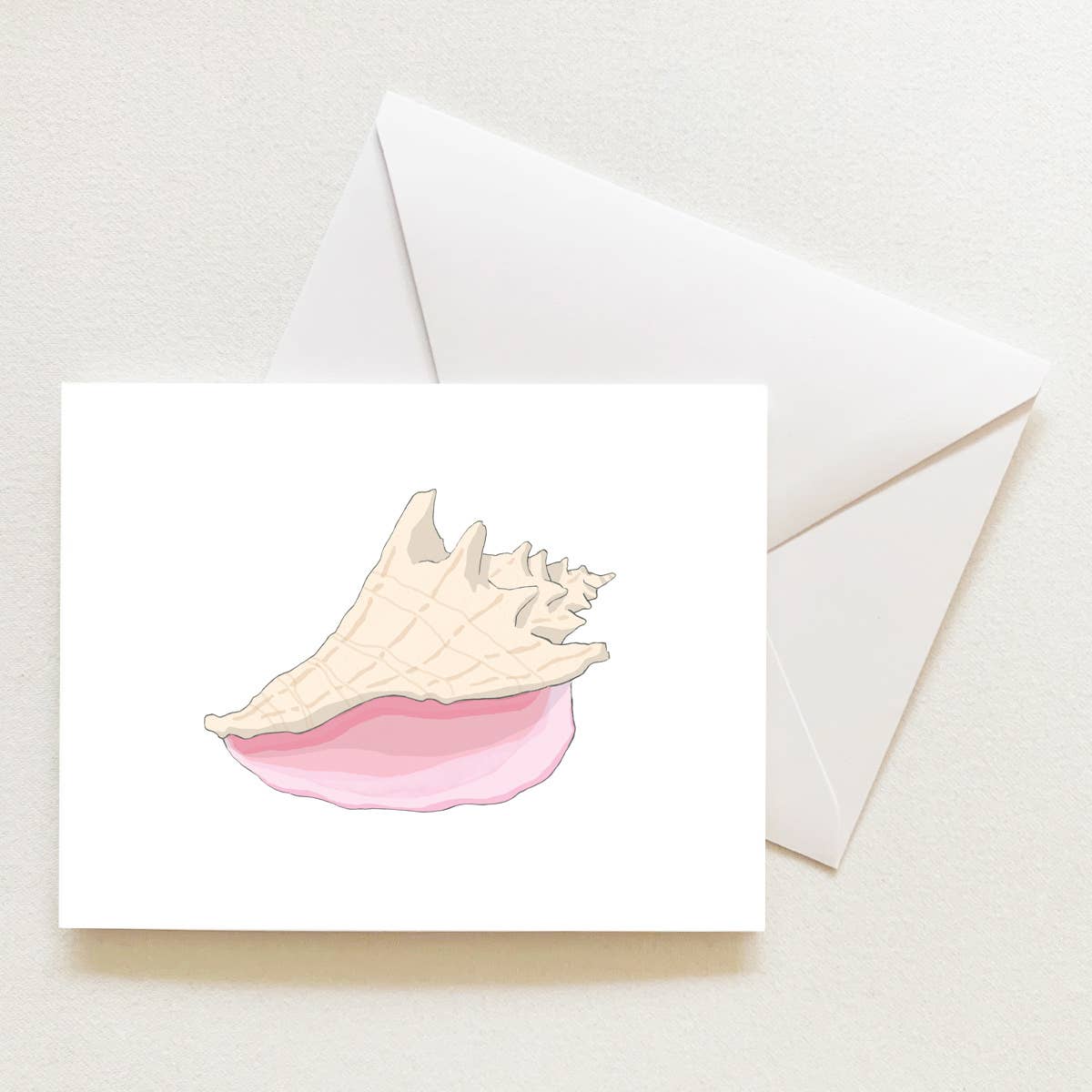 Conch Shell Boxed Note Cards