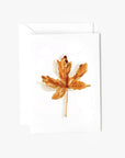 Maple leaf autumn mini enclosure notecard