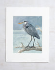 Great Blue Heron on Branch Watercolor Painting: 8x10 (11x14 mat)