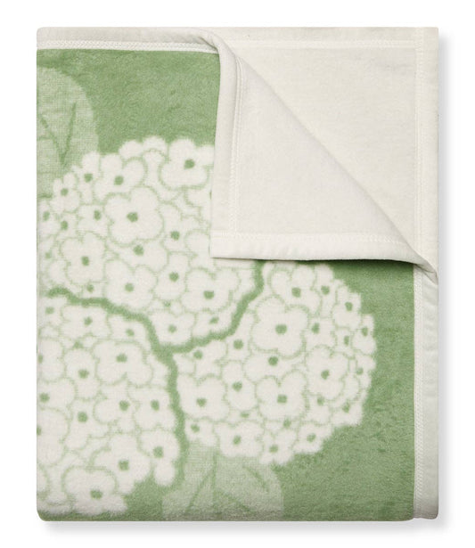 Hydrangeas Sage Blanket